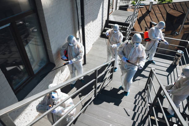 Best Forensic Mold Investigation  in St Leon, IN