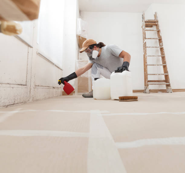 Best Environmental Consulting for Mold Prevention  in St Leon, IN